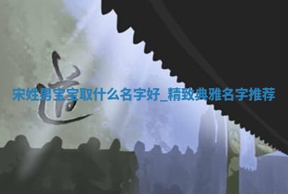 宋姓精致典雅的男宝宝名字